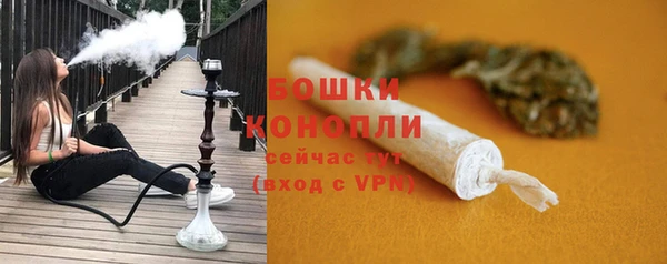 мдпв Липки