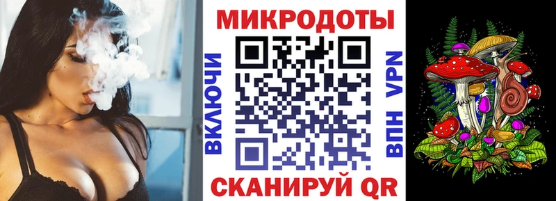 Псилоцибиновые грибы Psilocybe  Новая Ладога 